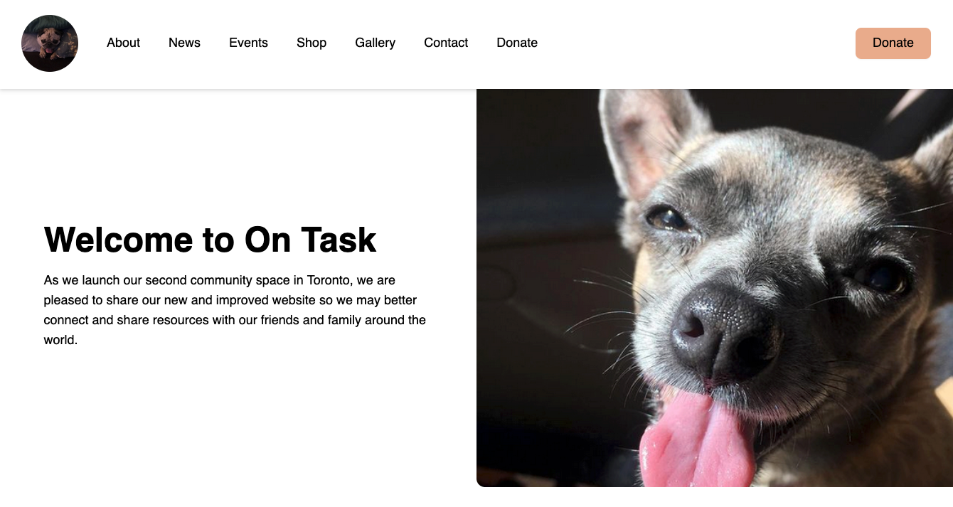 Simple landing page with a photo of a chihuahua